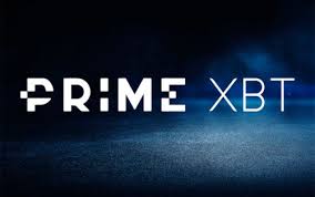 PrimeXBT vs Pocket Option Which Trading Platform is Right for You