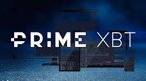 PrimeXBT vs Pocket Option Which Trading Platform is Right for You