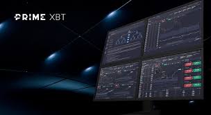 PrimeXBT vs Pocket Option Which Trading Platform is Right for You