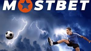 Top sportsbooks with highest payouts 0