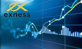 Comprehensive Guide to Exness India Broker