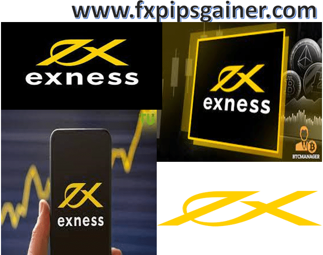 Comprehensive Guide to Exness India Broker