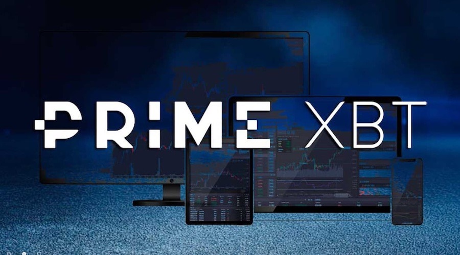 PrimeXBT Team Overview