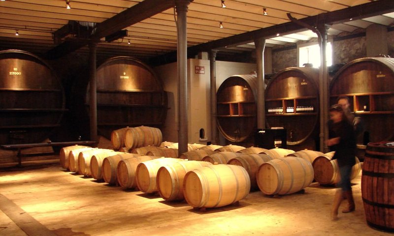 Spin Winera: Rischi e Truffe Nella Giocata Online