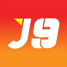 Cricket Betting Long-Term Strategy Maximizing Your Wins