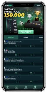 Dashbet - Judgment on the Australian betting site Dashbet - Judgment on the Australian betting site